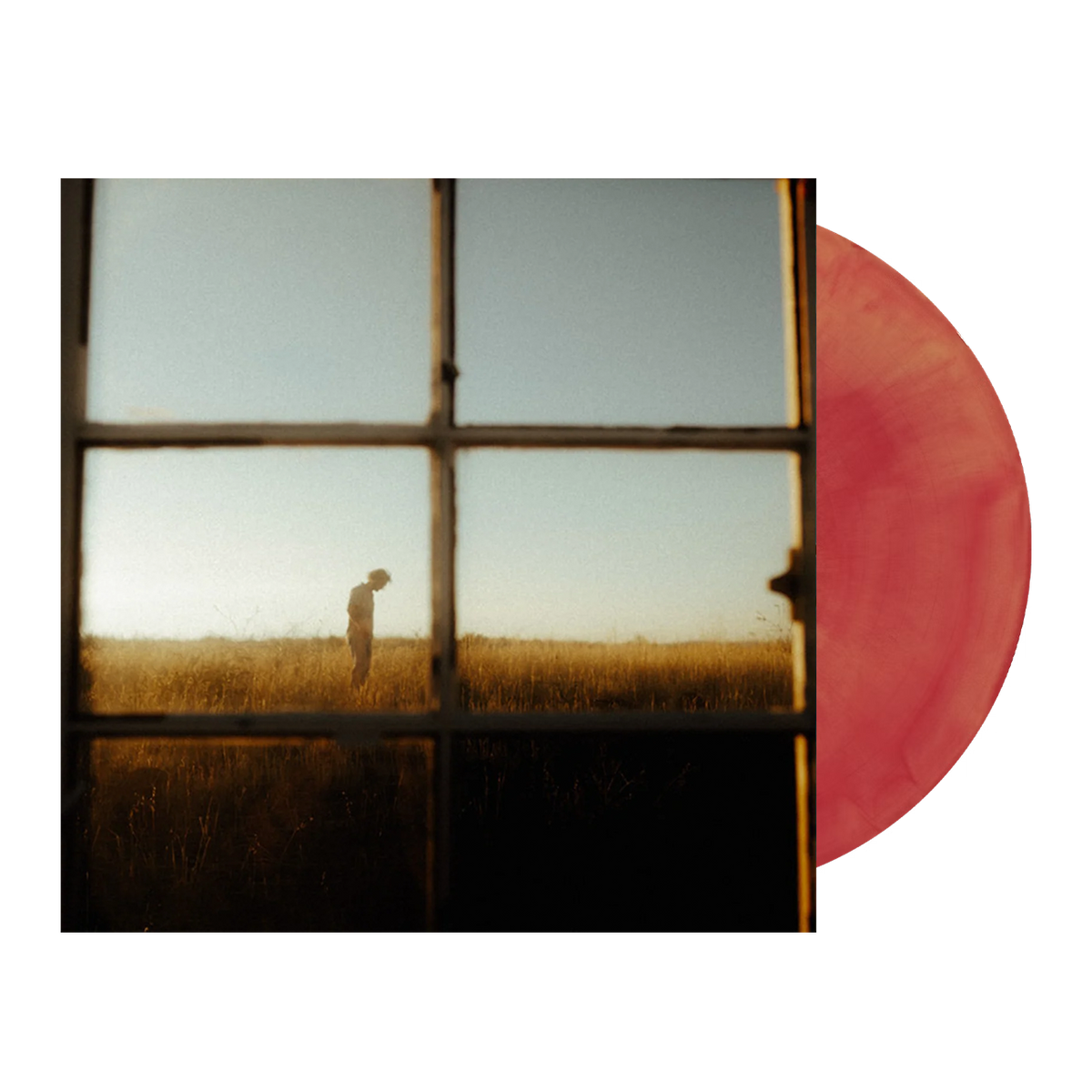 Fighting For Vinyl (Sunrise)
