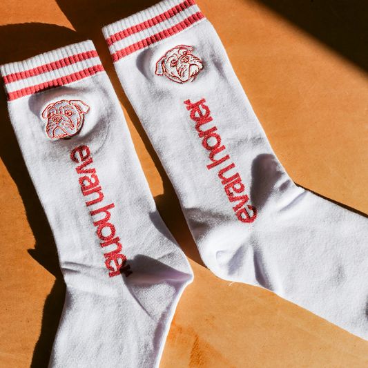 Bulldog Socks