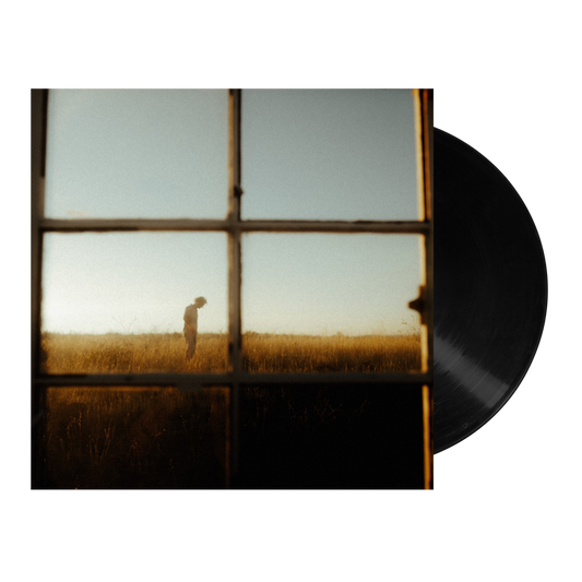 Fighting For Vinyl (Standard Black)