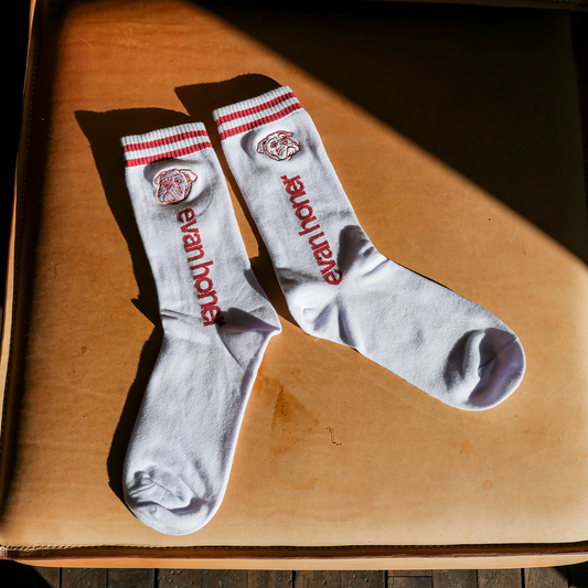 Bulldog Socks